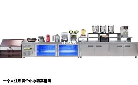 一个人住想买个小冰箱实用吗