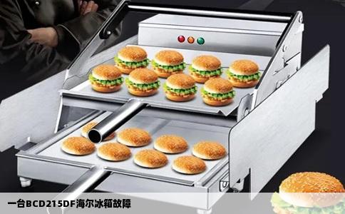 一台BCD215DF海尔冰箱故障