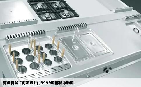 有没有买了海尔对开门3999的那款冰箱的