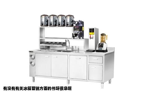 有没有有关冰箱营销方面的书呀很急啊