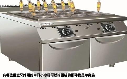 有哪些便宜又好用的单门小冰箱可以冻雪糕的那种我是单身族