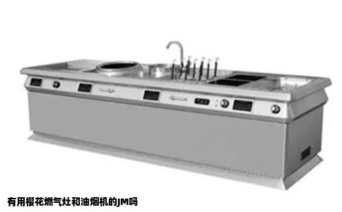 有用樱花燃气灶和油烟机的JM吗