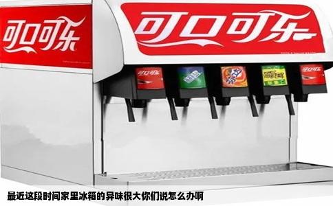 最近这段时间家里冰箱的异味很大你们说怎么办啊